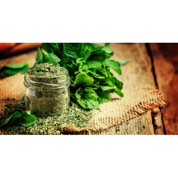 Organic Dry Mint Leaves